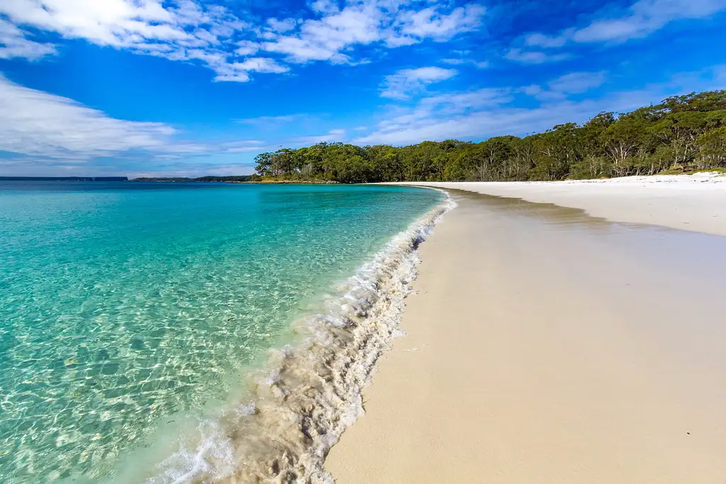 Jervis Bay with Dolphin Cruise | Day Tour from Sydney