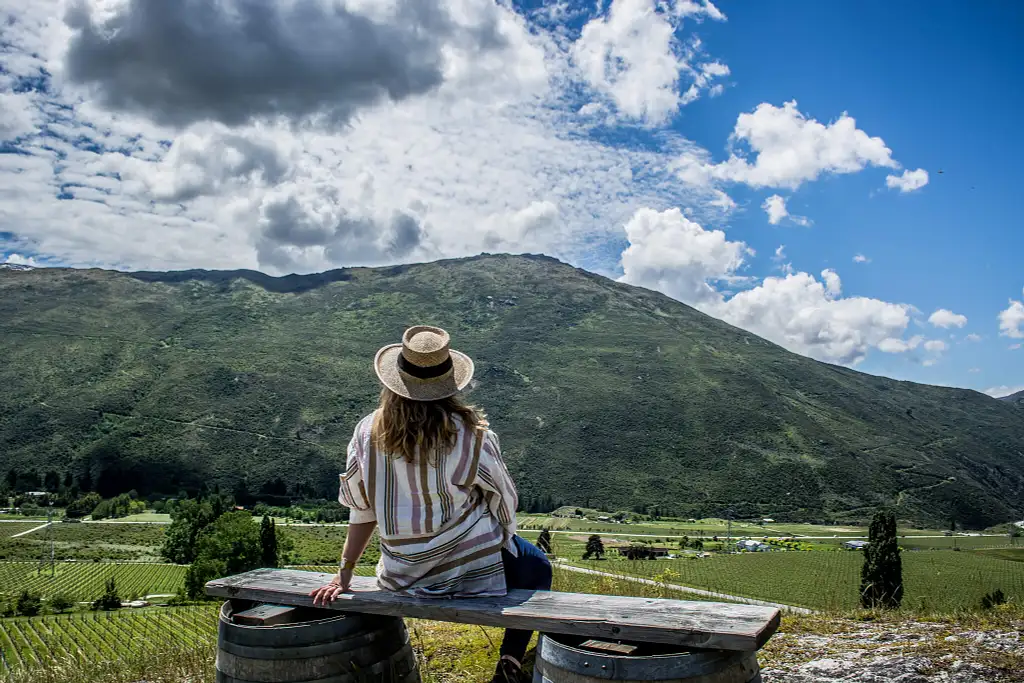 Hop on Hop off Wine & Beer Tours - Queenstown