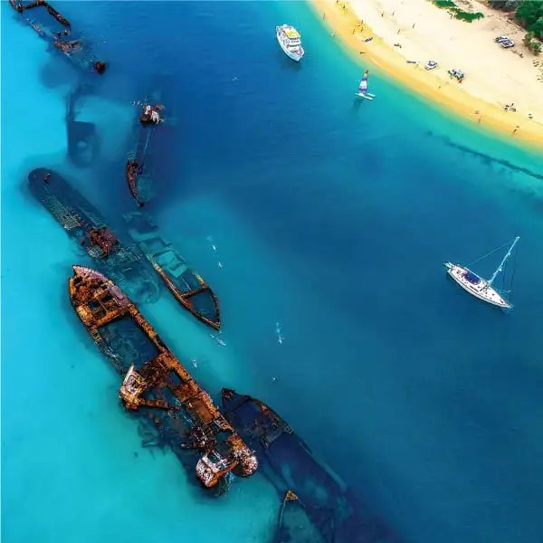 Scuba Dive Tour | Moreton Island