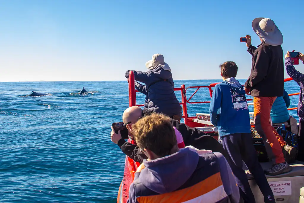 Port Stephens Whale Watch Express