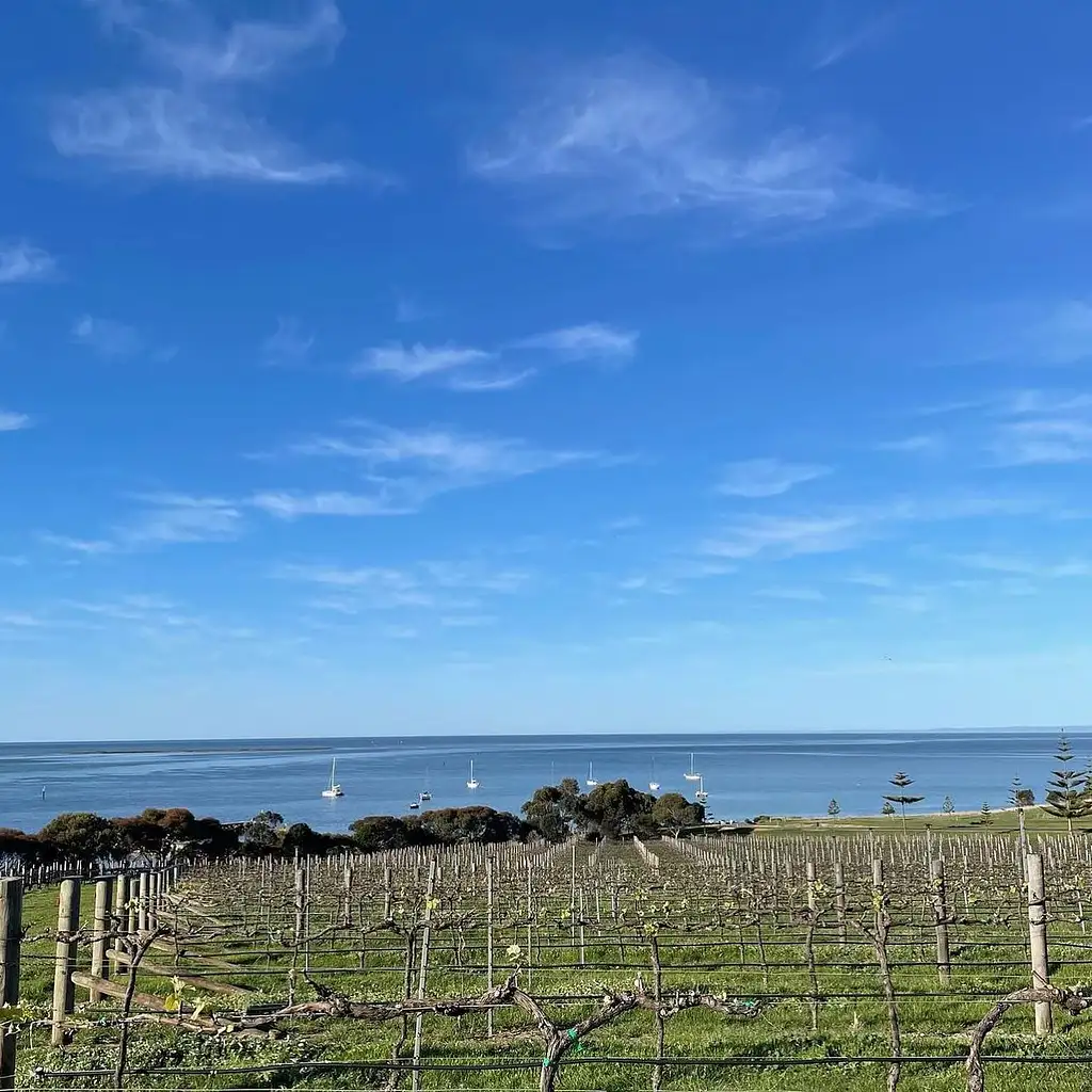 Kangaroo Island Hop On Hop Off Wine Tour