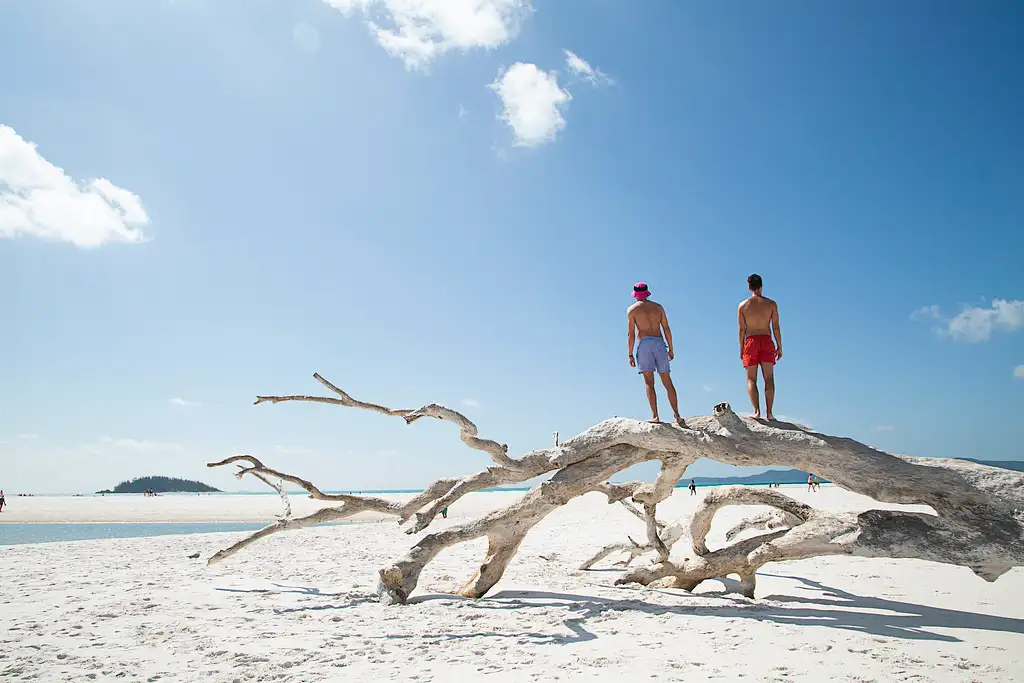 Camira Whitsundays Sailing Adventure to Whitehaven Beach from Airlie or Daydream