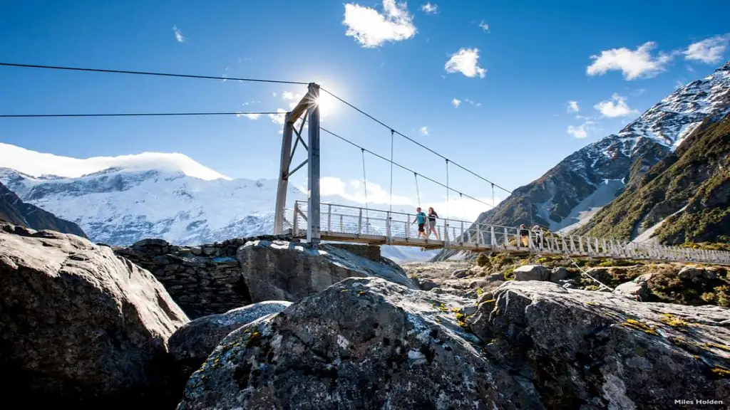 Mt Cook Tour & Ultimate Alpine Experience Combo from Queenstown