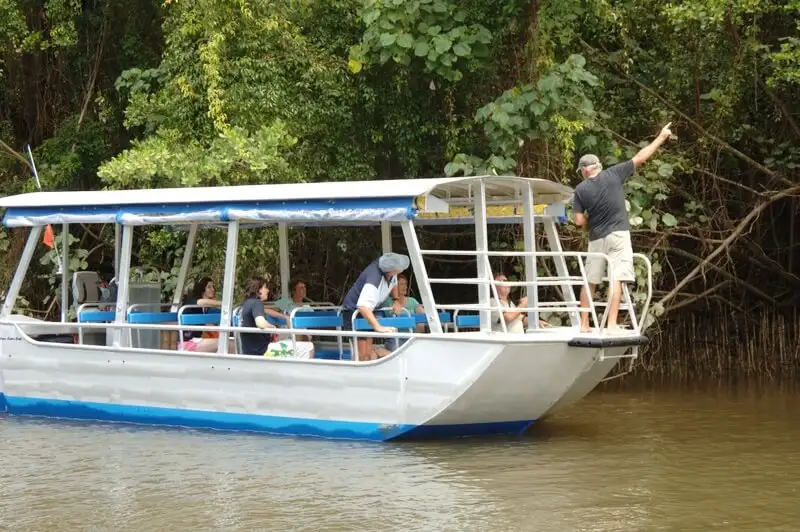 Uncle Brian's Cape Tribulation Day Tour