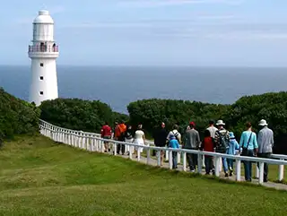 3 Day Great Ocean Road Adventure