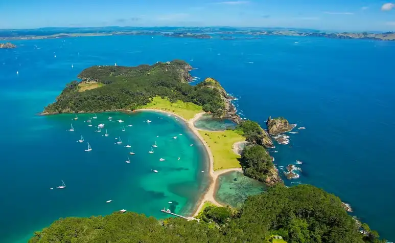 3 Day Bay of Islands Winterless North Tour