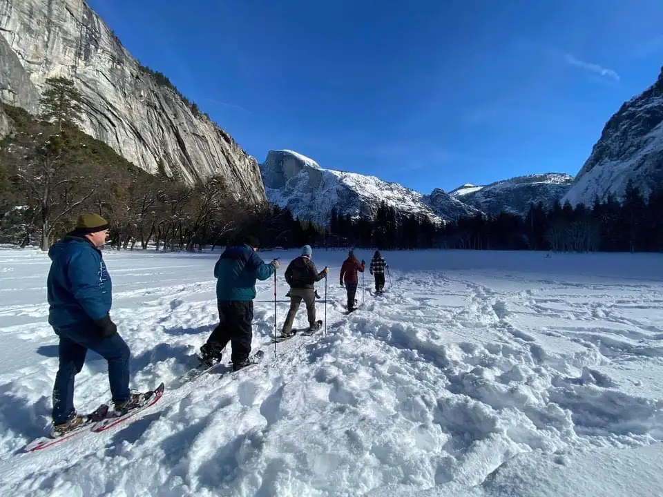 Giant Sequoia Hike or Snowshoe