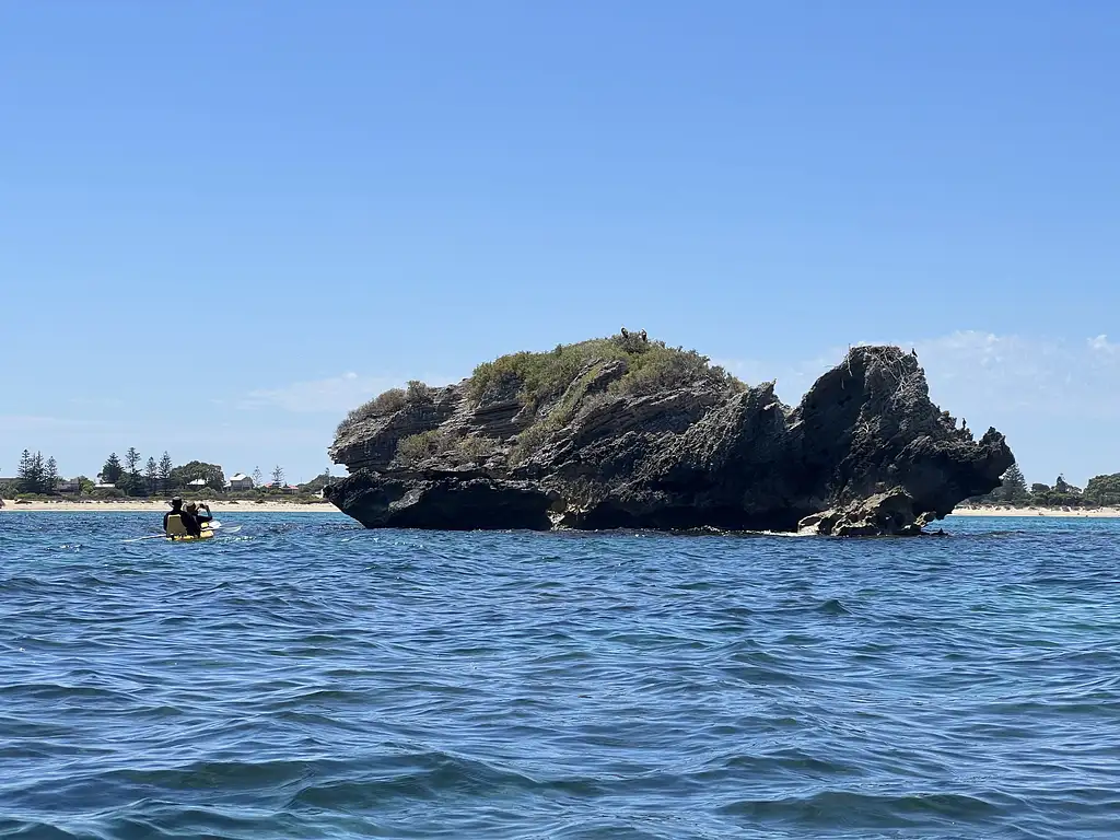 Seal And Penguin Islands Sea Kayak Day Tour