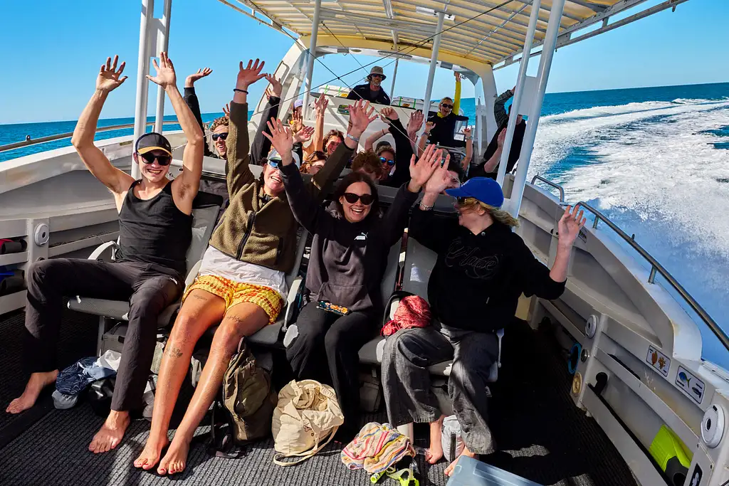 Great Barrier Reef Snorkelling Half Day Tour  | Mission Beach