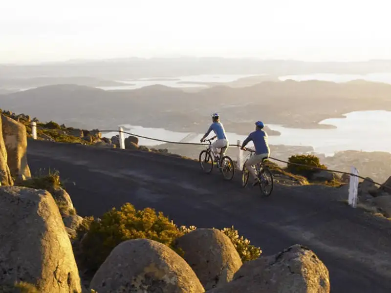 Mt. Wellington Bike Tour