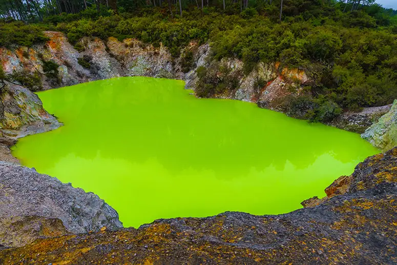 Rotorua Highlights Small Group Tour including Wai-O-Tapu from Auckland