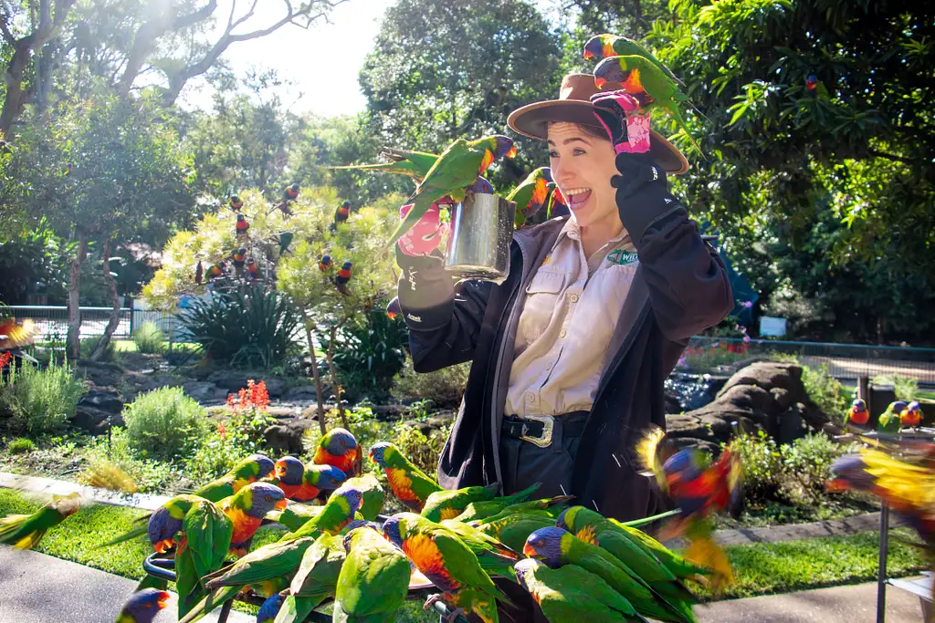 Currumbin Wildlife Sanctuary