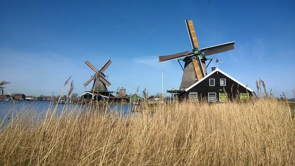 Tulips and windmills small-group tour with Keukenhof skip-the-line ticket