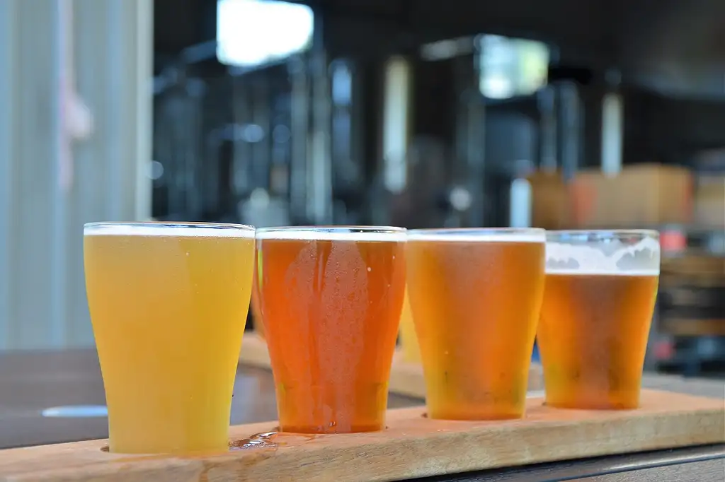 Cairns Brewery & Distillery Tour