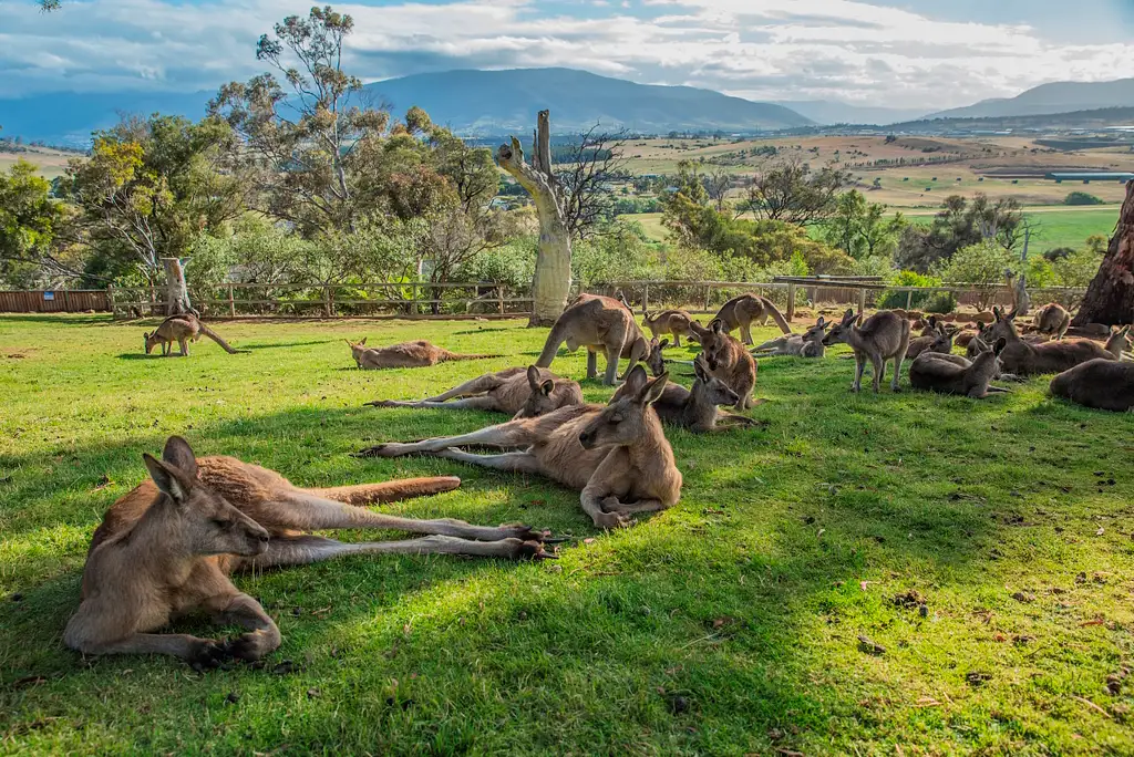 3 Day Tasmanian Highlights Tour – Hobart, Port Arthur and Bruny Island