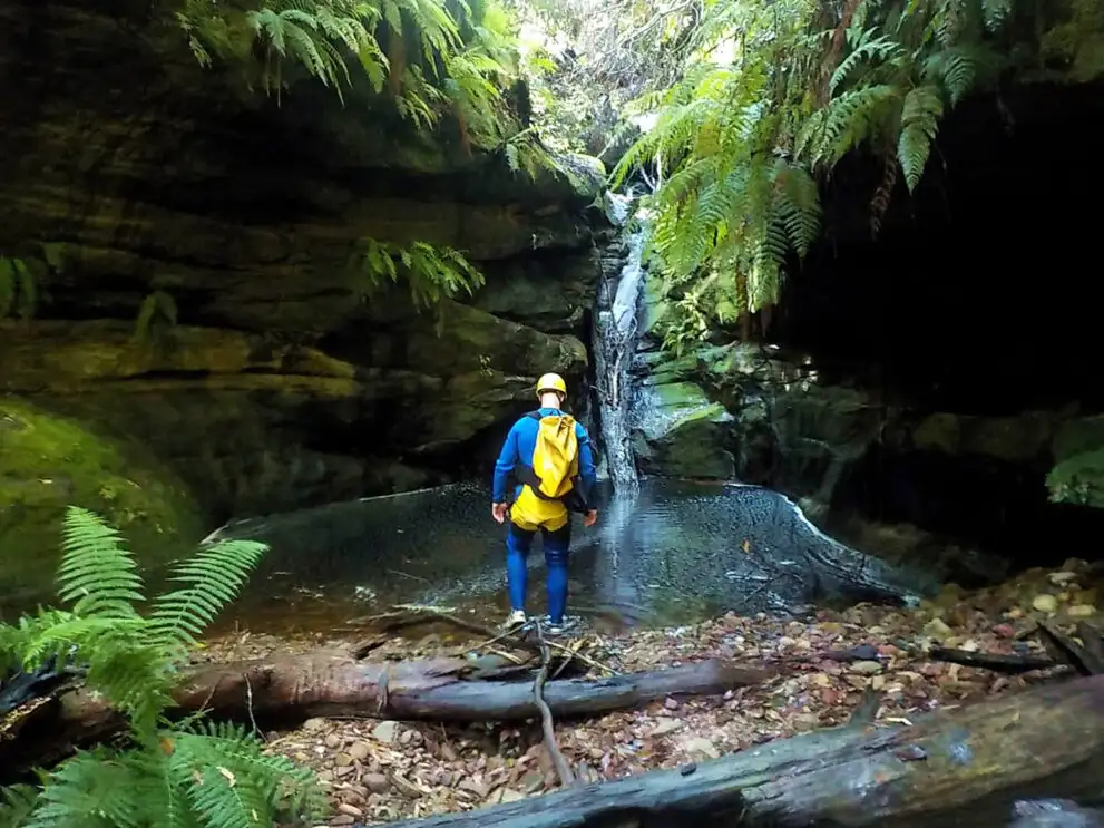 Serendipity Canyon - Blue Mountains Abseiling Tour