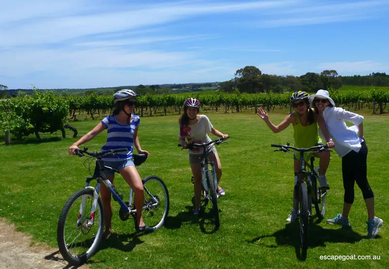 McLaren Vale Wine & Bike Tour