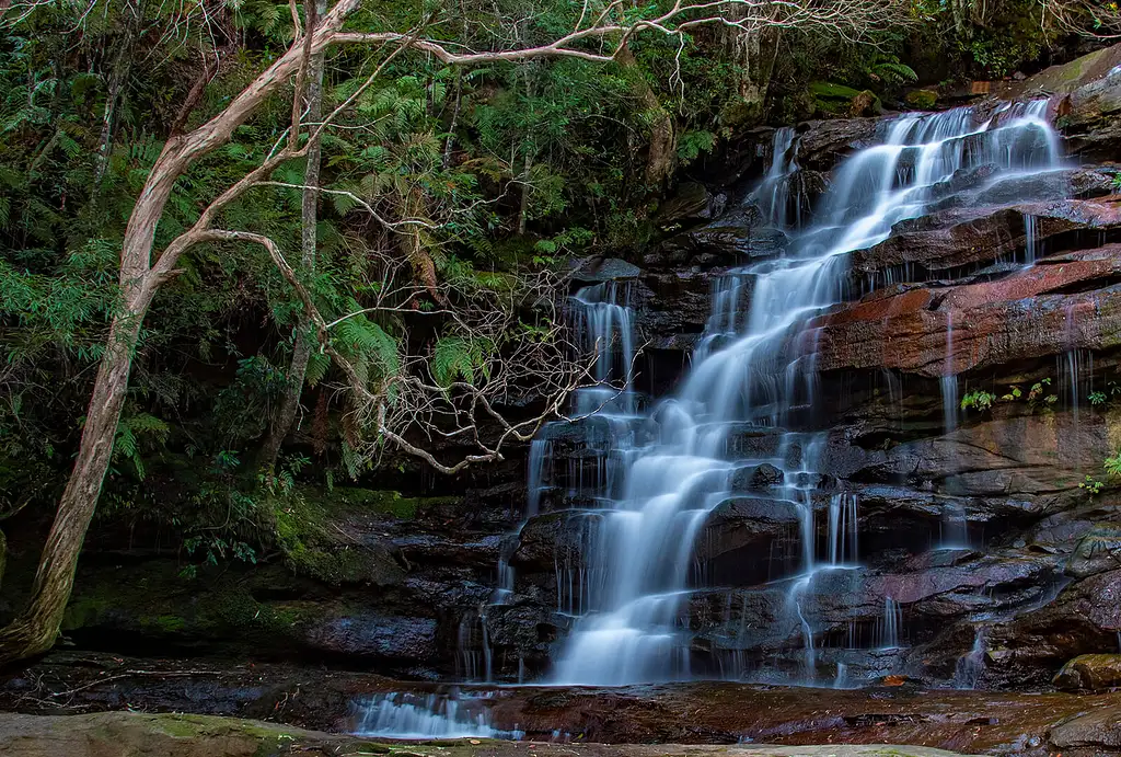 Top Sydney Tours | Nature and Wildlife Big Day Out