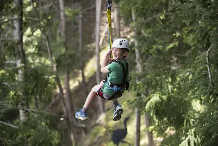 Queenstown Ziplining Adventure - Moa Tour