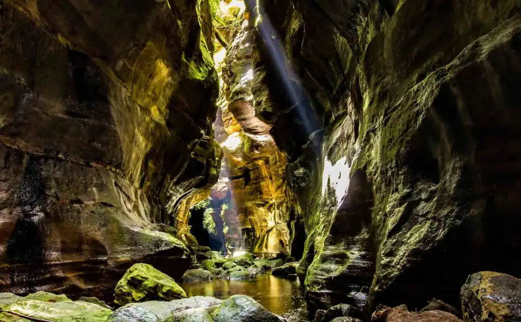 Serendipity Canyon - Blue Mountains Abseiling Tour