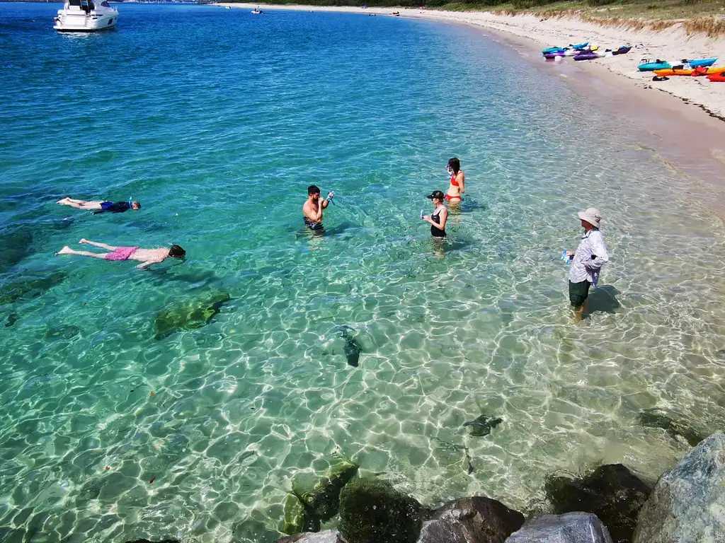 Broadwater Dolphin Kayaking & Snorkeling Tour