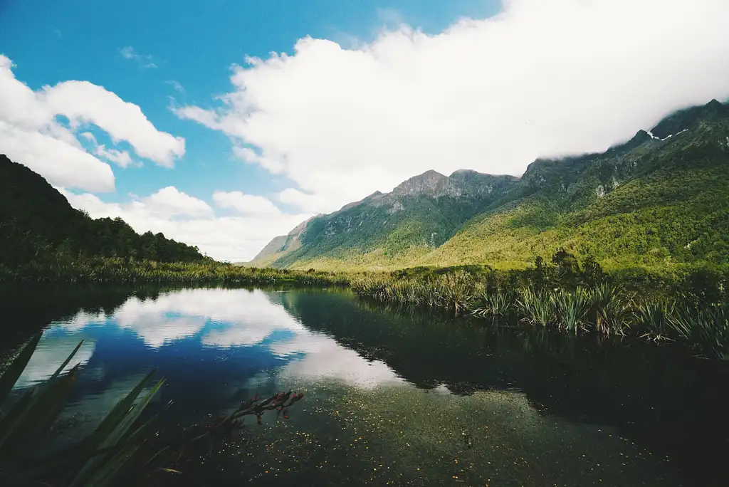 Milford Sound Experience Small Group Tour