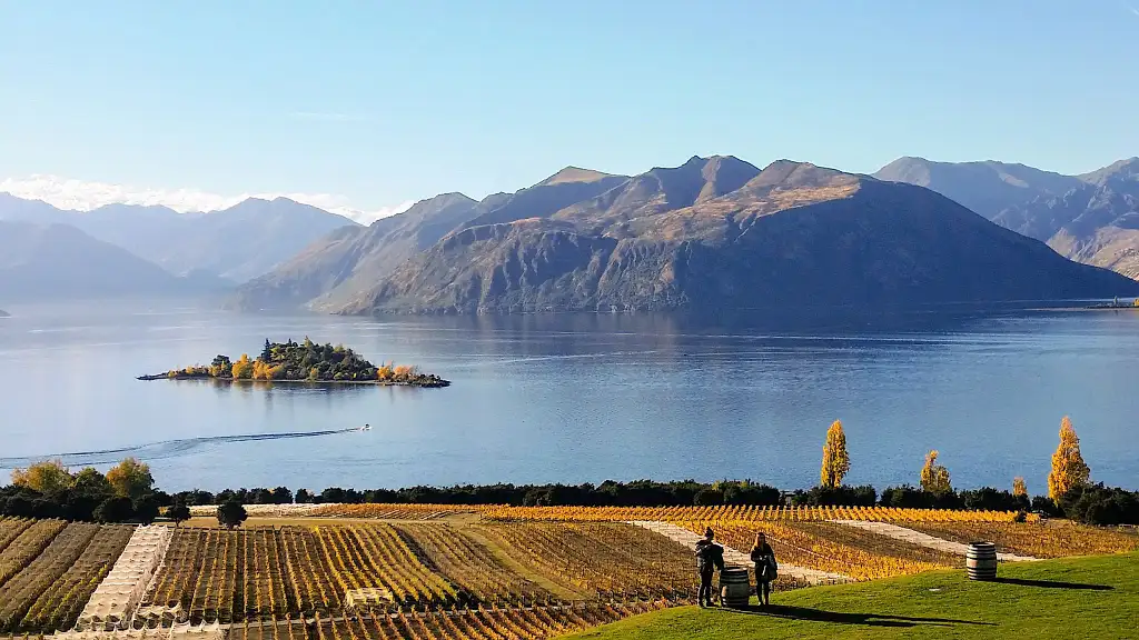 Boutique Wanaka Wine Tour