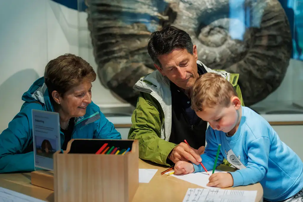 Te Papa Museum Entry (International Visitors)