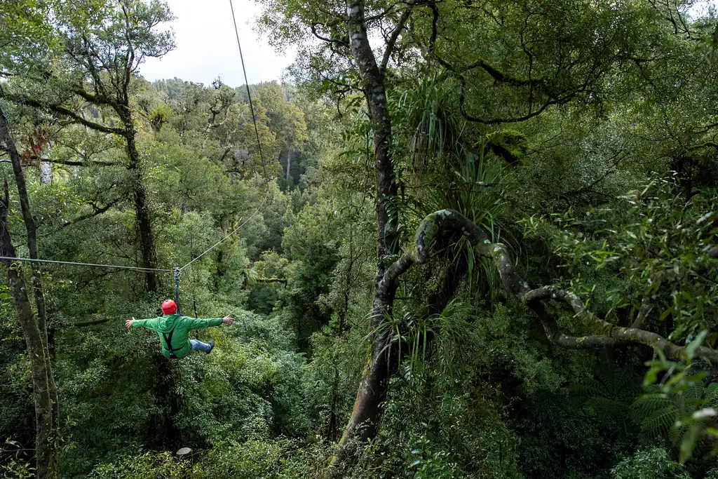 The Ultimate Canopy Tour