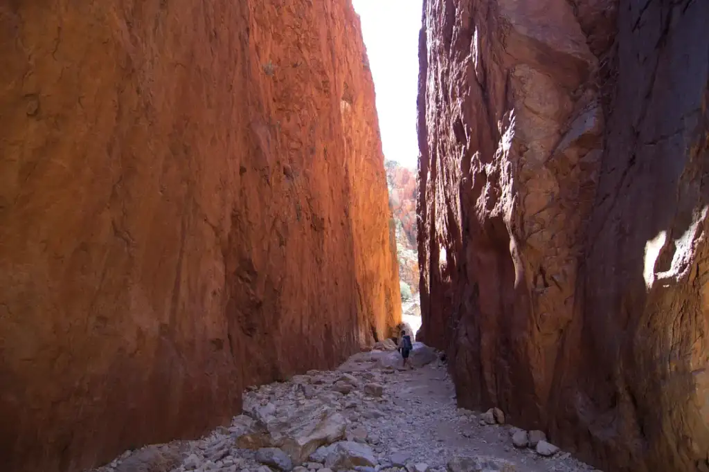 Larapinta Trail 5 Day Trek - Twin Share Safari Tent from Alice Springs