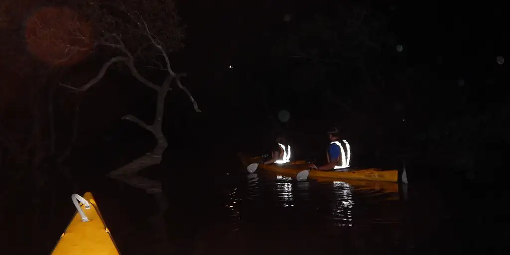 Sunset 'Pizza and Paddle' Kayak Tour - Batemans Bay