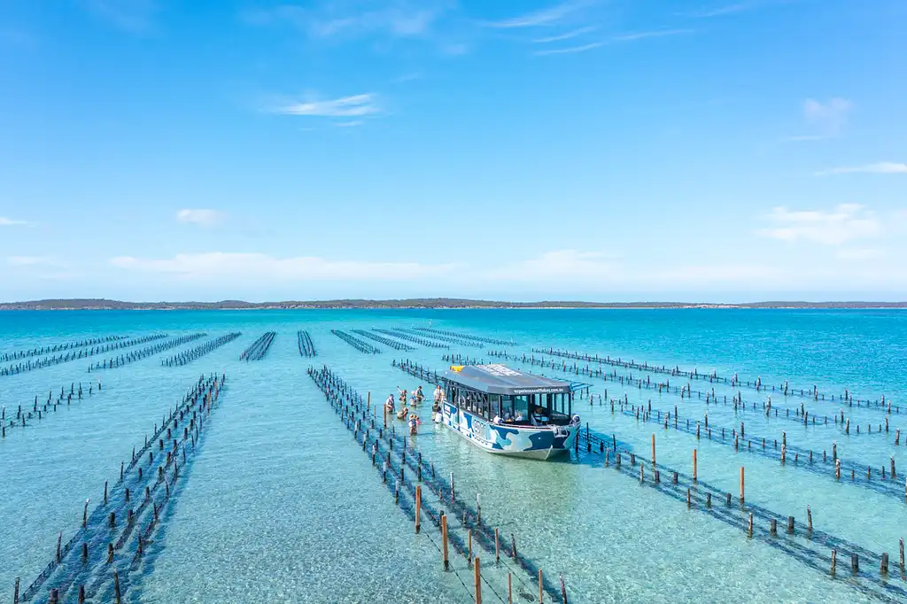 Coffin Bay Oyster Farm & Bay Tour