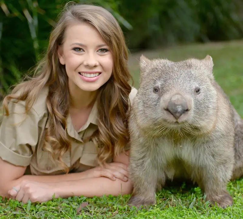 australian zoo brisbane accommodation