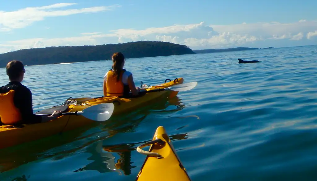 Half Day Sea Kayak Tour - Bateman's Bay