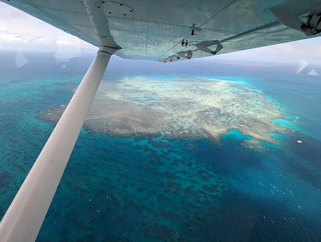 Outer Edges of The Great Barrier Reef Scenic Flight