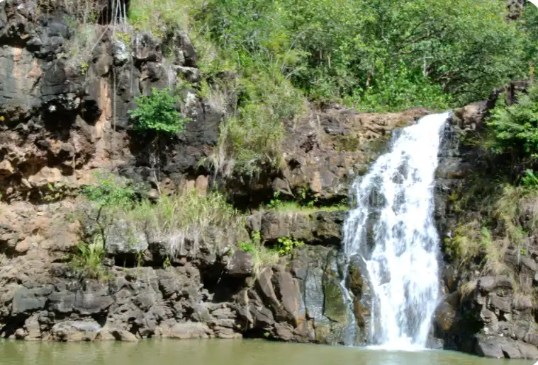 Hidden Gems of Oahu with Waimea Botanical Garden Visit