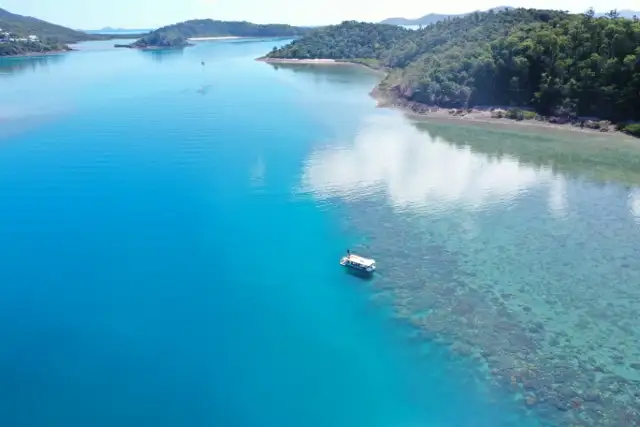 Glass Bottom Boat Tour - Shute Harbour