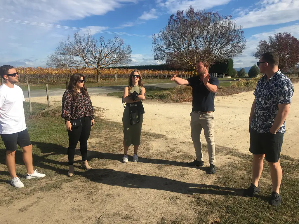 Wairarapa Wine Tasting & Martinborough Day Tour