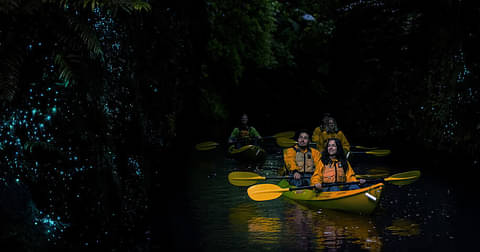 Twilight Glow Worm Kayak Tour | Backpacker Deals