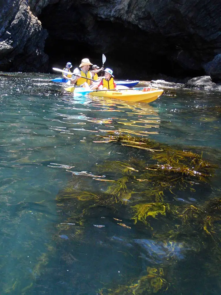 Glass Bottom Kayak Tour - Batemans Bay