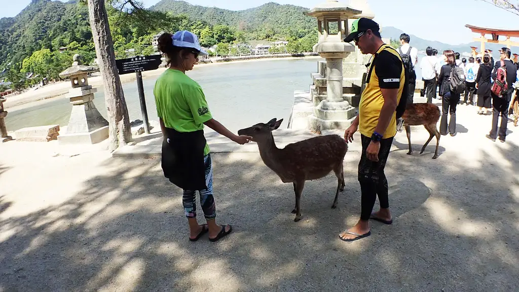 SUP Tour of the Itsukushima Shrine