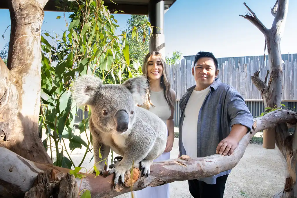 Ultimate Blue Mountains Tour, inc Scenic World, Lunch, Waterfalls, Harbour Cruise & Sydney Zoo plus a FREE up-close Koala Digital Photo