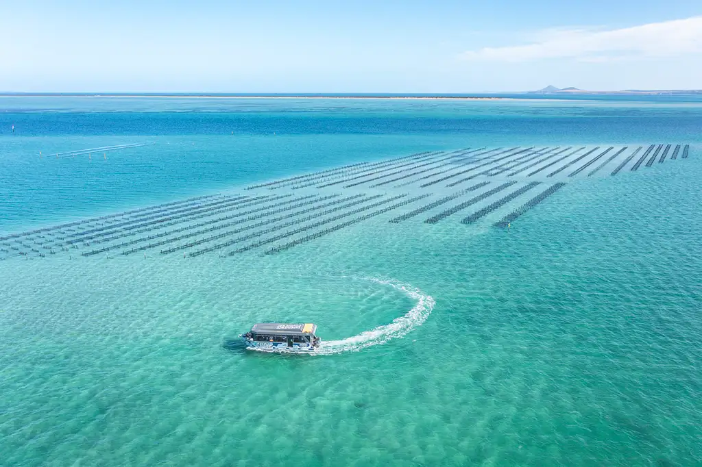 Coffin Bay Oyster Farm & Bay Tour