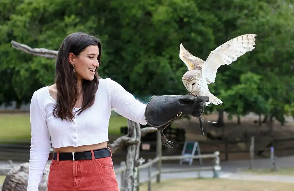 Lone Pine Koala Sanctuary Entry with Brisbane River Cruise