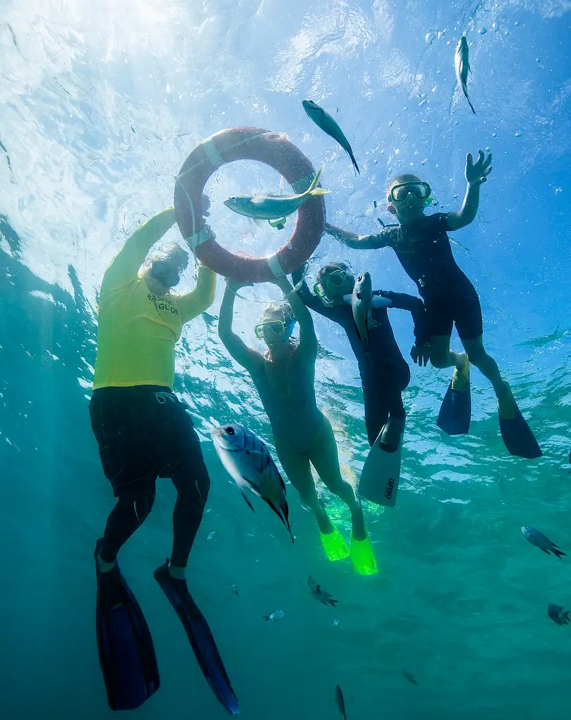 Great Barrier Reef Full Day Experience