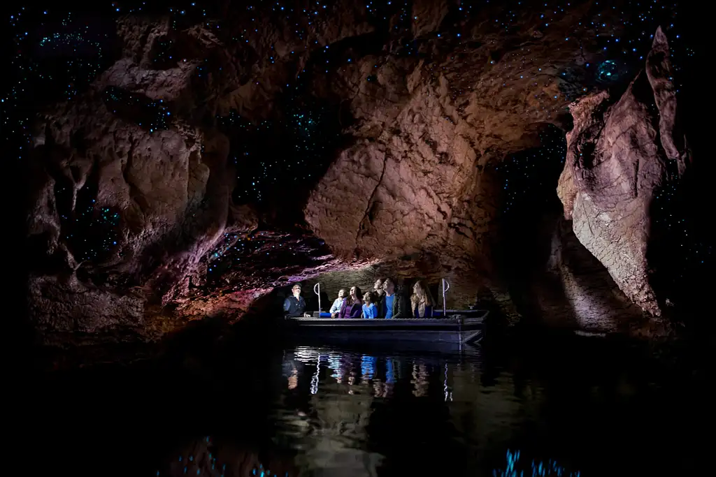 Te Anau Glowworm Cave Tour