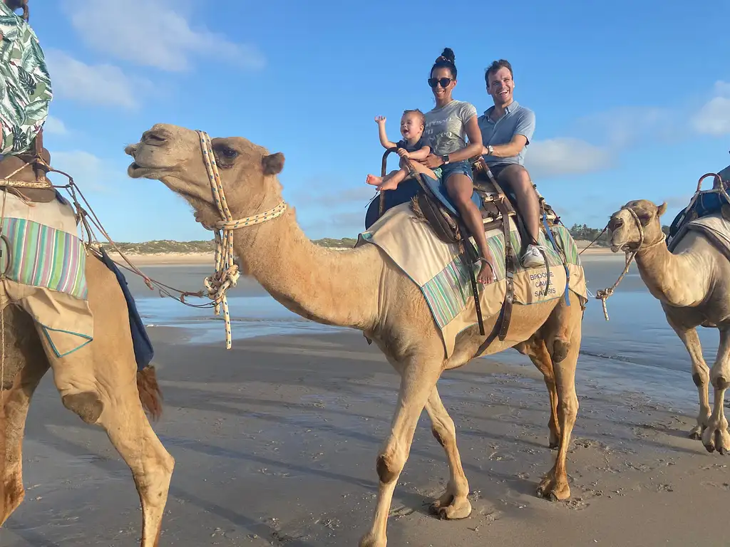 Pre-Sunset Broome Camel Tour