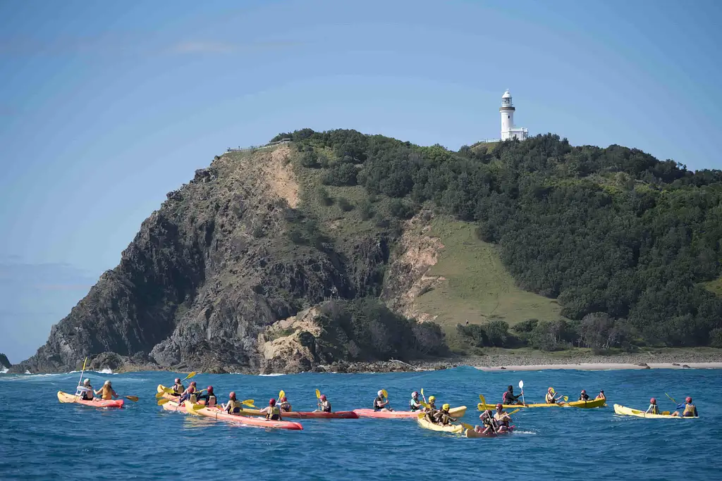 Dolphin Watching and Kayaking Experience from Byron Bay