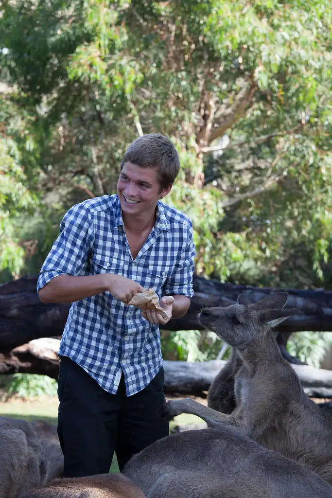 Bonorong Wildlife Sanctuary & Coal River Farm