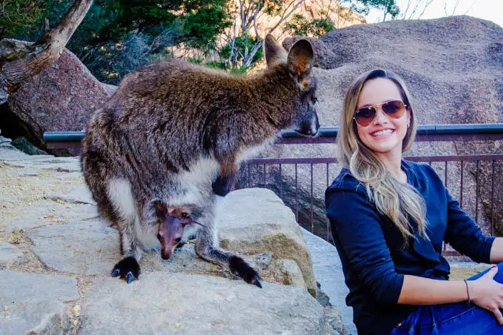 Wineglass Bay Day Tour From Hobart